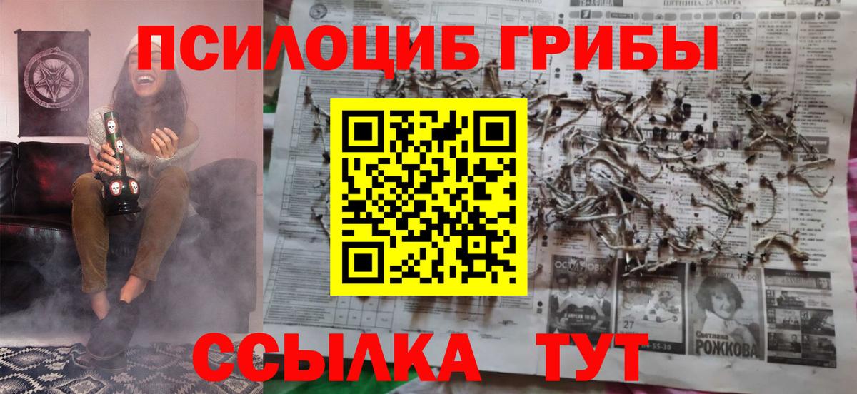 Мурино  Галлюциногенные грибы прущие грибы  Вход с VPN 